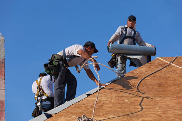 Best Best Roofing Contractors  in River Park, FL