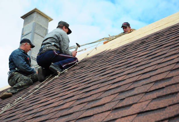 Best Flat Roof Repair Services  in River Park, FL
